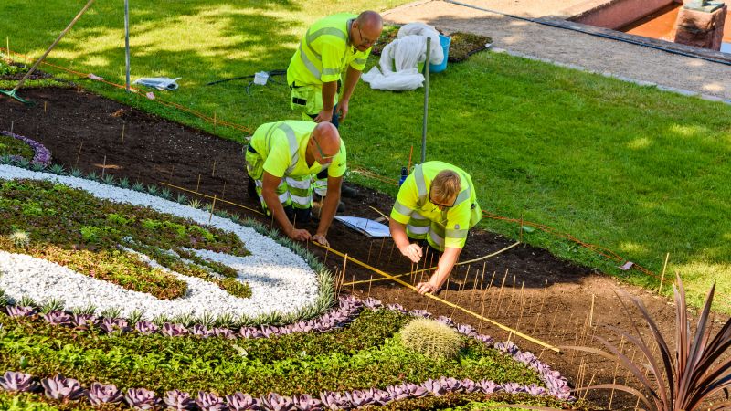 Flower Bed Cleaning