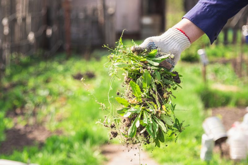 Flower Bed Cleaning Cost — Cost of Flower Bed Cleaning