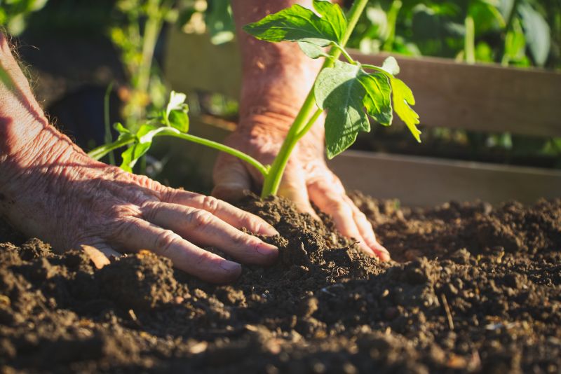 Flower Bed Cleaning Cost — Cost of Flower Bed Cleaning