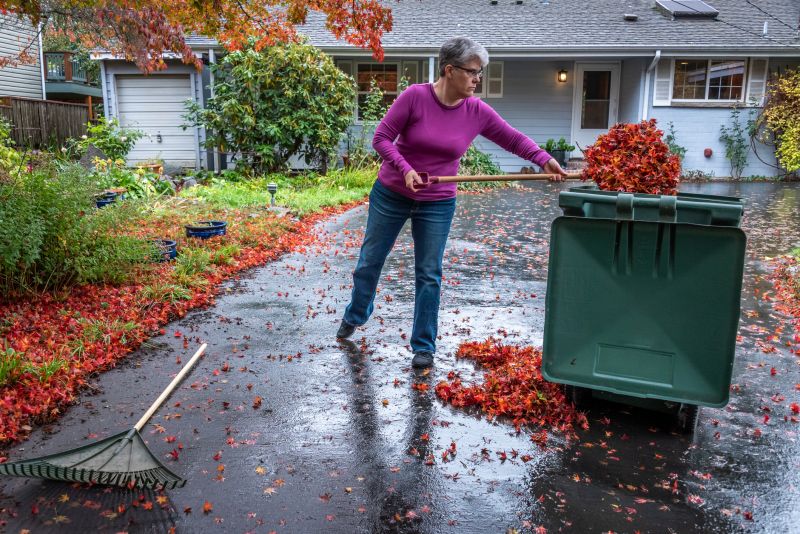 Autumn Cleanup Services