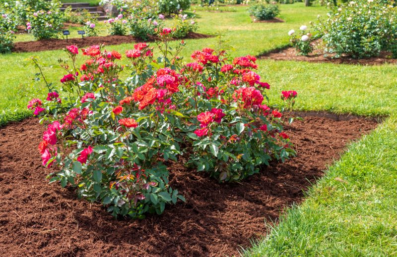 Mulched Flower Bed