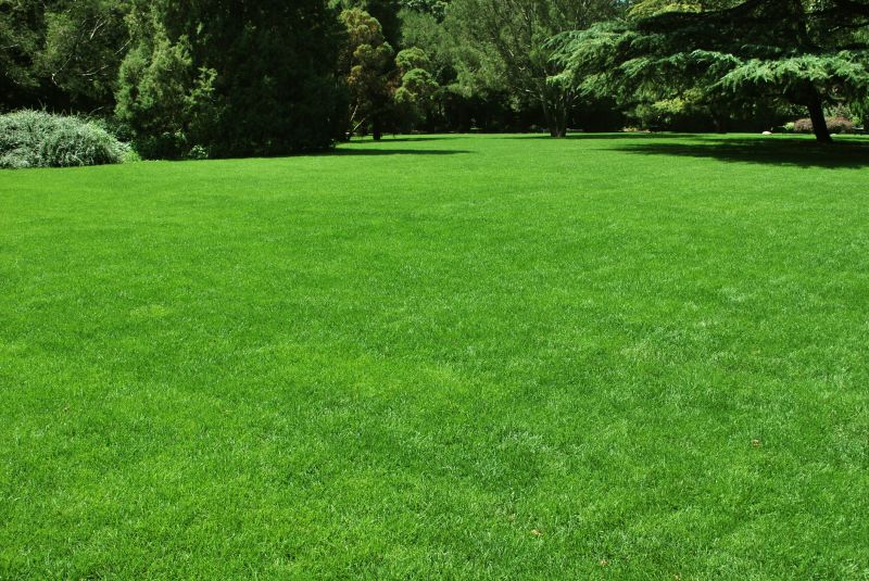 Lush Lawns